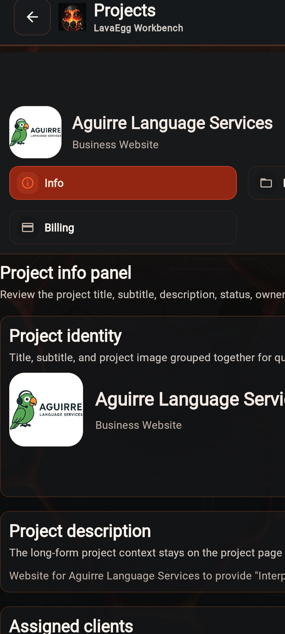 LavaEgg workbench project detail screen showing project tabs, identity, and description